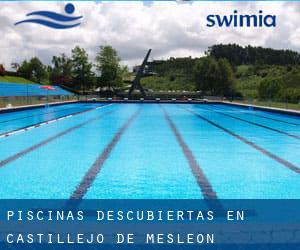 Piscinas descubiertas en Castillejo de Mesleón