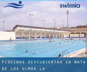 Piscinas descubiertas en Mata de los Olmos (La)