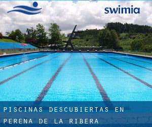 Piscinas descubiertas en Pereña de la Ribera