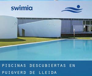 Piscinas descubiertas en Puigverd de Lleida