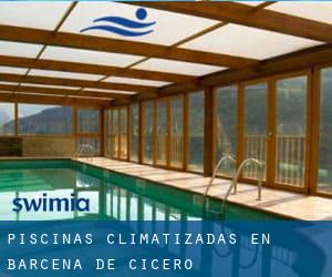 Piscinas climatizadas en Bárcena de Cicero