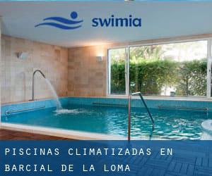 Piscinas climatizadas en Barcial de la Loma