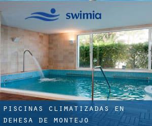 Piscinas climatizadas en Dehesa de Montejo