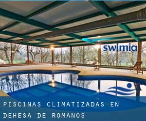 Piscinas climatizadas en Dehesa de Romanos