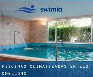 Piscinas climatizadas en els Omellons