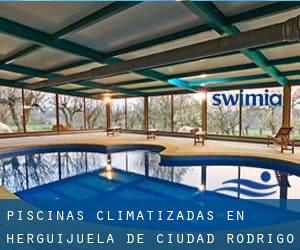 Piscinas climatizadas en Herguijuela de Ciudad Rodrigo