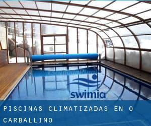 Piscinas climatizadas en O Carballiño