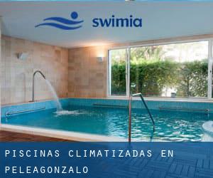 Piscinas climatizadas en Peleagonzalo