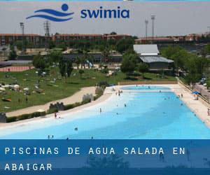 Piscinas de agua salada en Abáigar