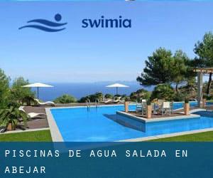 Piscinas de agua salada en Abejar