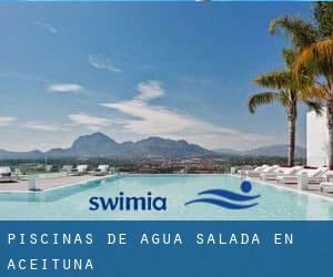 Piscinas de agua salada en Aceituna