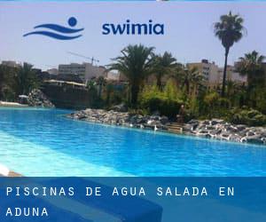 Piscinas de agua salada en Aduna