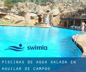 Piscinas de agua salada en Aguilar de Campóo