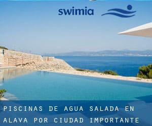 Piscinas de agua salada en Álava por Ciudad Importante - página 1