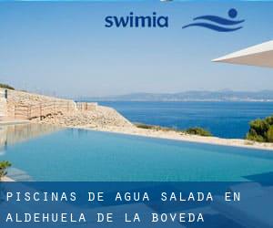 Piscinas de agua salada en Aldehuela de la Bóveda