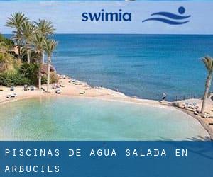 Piscinas de agua salada en Arbúcies