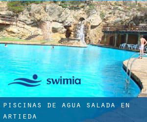 Piscinas de agua salada en Artieda