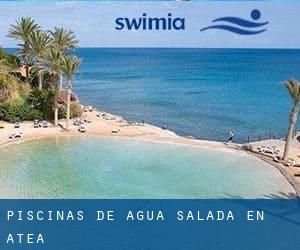 Piscinas de agua salada en Atea