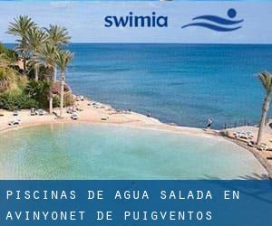 Piscinas de agua salada en Avinyonet de Puigventós