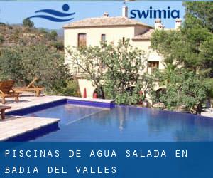 Piscinas de agua salada en Badia del Vallès