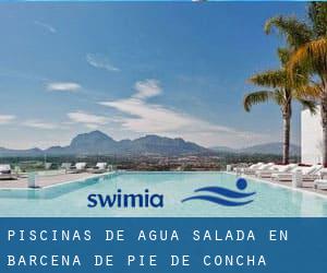 Piscinas de agua salada en Bárcena de Pie de Concha