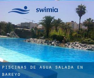 Piscinas de agua salada en Bareyo