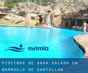 Piscinas de agua salada en Barruelo de Santullán