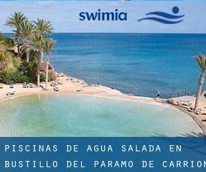 Piscinas de agua salada en Bustillo del Páramo de Carrión