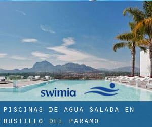 Piscinas de agua salada en Bustillo del Páramo