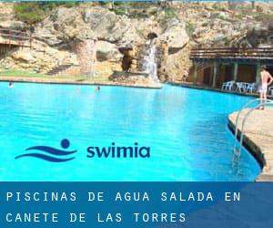 Piscinas de agua salada en Cañete de las Torres