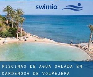 Piscinas de agua salada en Cardeñosa de Volpejera