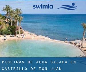 Piscinas de agua salada en Castrillo de Don Juan