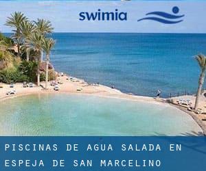 Piscinas de agua salada en Espeja de San Marcelino