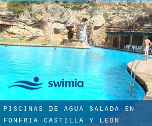 Piscinas de agua salada en Fonfría (Castilla y León)