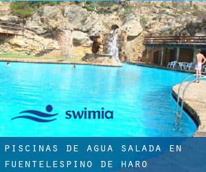 Piscinas de agua salada en Fuentelespino de Haro