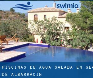 Piscinas de agua salada en Gea de Albarracín