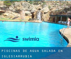 Piscinas de agua salada en Iglesiarrubia