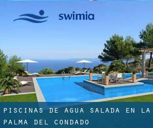 Piscinas de agua salada en La Palma del Condado