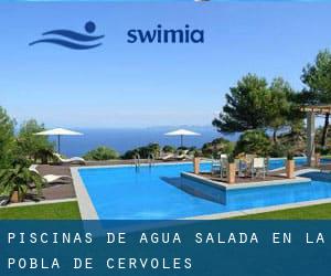 Piscinas de agua salada en la Pobla de Cérvoles