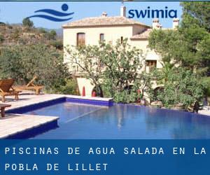 Piscinas de agua salada en la Pobla de Lillet