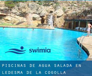 Piscinas de agua salada en Ledesma de la Cogolla