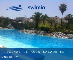 Piscinas de agua salada en Mombuey