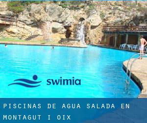 Piscinas de agua salada en Montagut i Oix