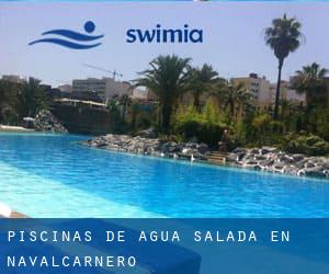 Piscinas de agua salada en Navalcarnero