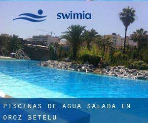 Piscinas de agua salada en Oroz-Betelu