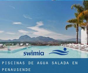 Piscinas de agua salada en Peñausende