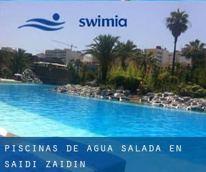 Piscinas de agua salada en Saidí / Zaidín