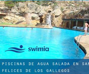 Piscinas de agua salada en San Felices de los Gallegos