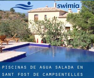 Piscinas de agua salada en Sant Fost de Campsentelles