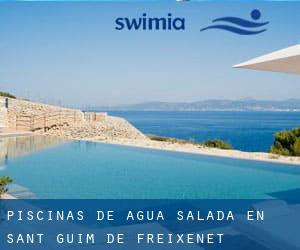 Piscinas de agua salada en Sant Guim de Freixenet